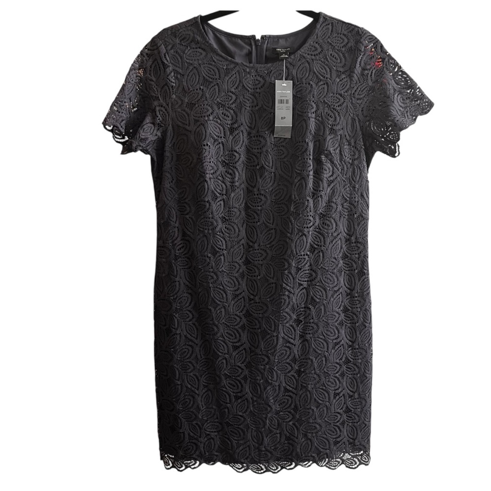NEW Ann Taylor Dark Blue Lace overlay Mini Dress lined Womens petite 8P